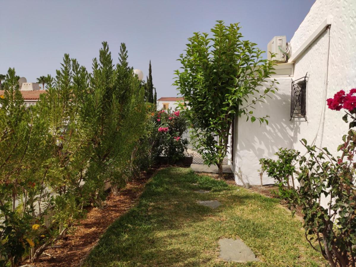 Lovely 2 Bedroom Bungalow With Parking Maspalomas  Eksteriør billede